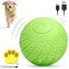 Interactive Dog Ball Toy with Remote Control â€“ Silent Motion Activated Rolling & Bouncing